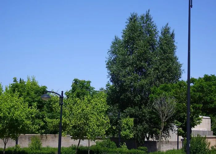 诺比斯萨拉曼卡酒店 萨拉曼卡